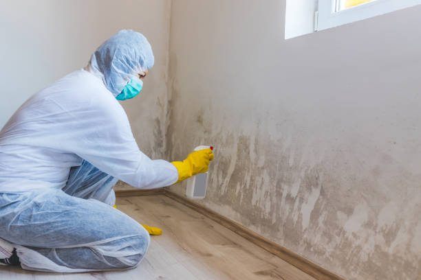 Hvac And Air Duct Mold Remediation inspection of HVAC system in Palm Beach